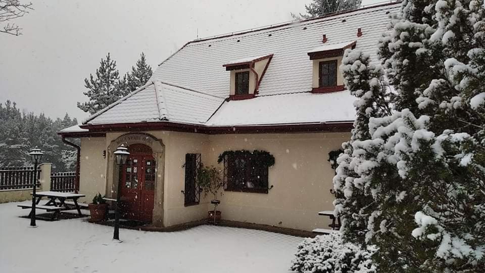Mala Svata Hora - Penzion & Restaurace Mnisek pod Brdy Exterior photo